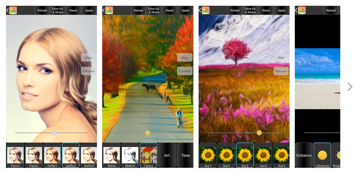Bonfire Photo Editor Pro - A 7 legjobb karácsonyi képszerkesztő online