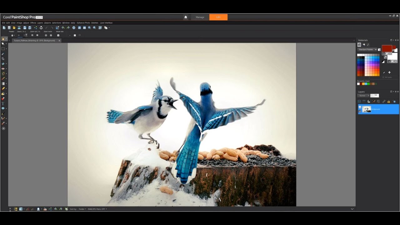 Corel PaintShop Pro profi képszerkesztő program - kepszerkeszto.com
