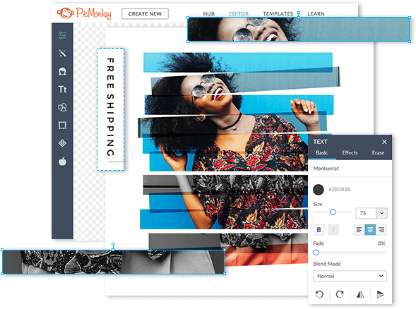 PicMonkey profi képszerkesztő program - kepszerkeszto.com