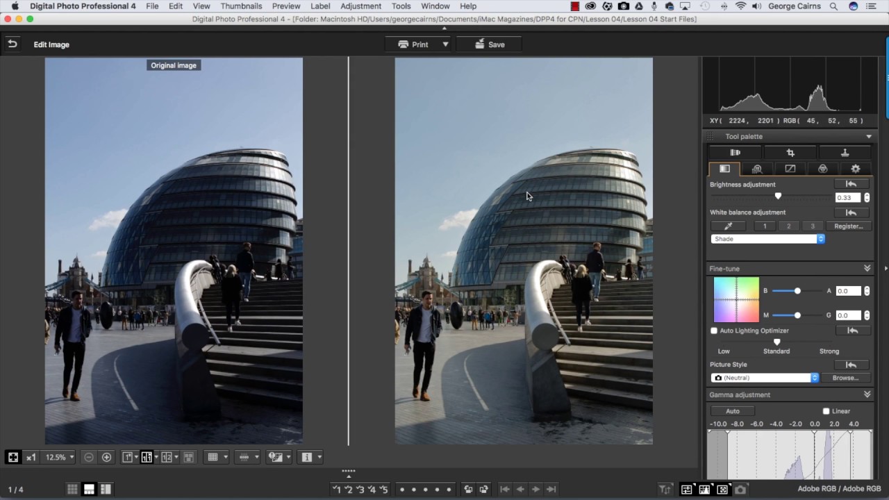 Digital Photo Professional a Canon számára - ingyenes képszerkesztő