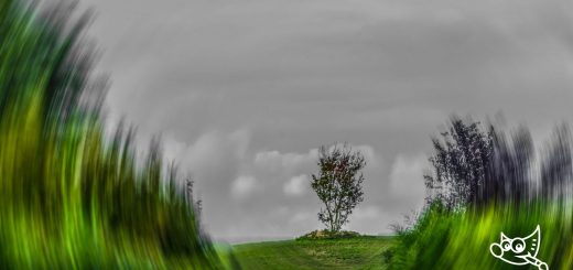 A GIMP képszerkesztő felülvizsgálat