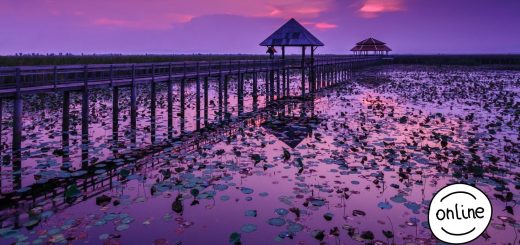 A Top5 online képszerkesztő program